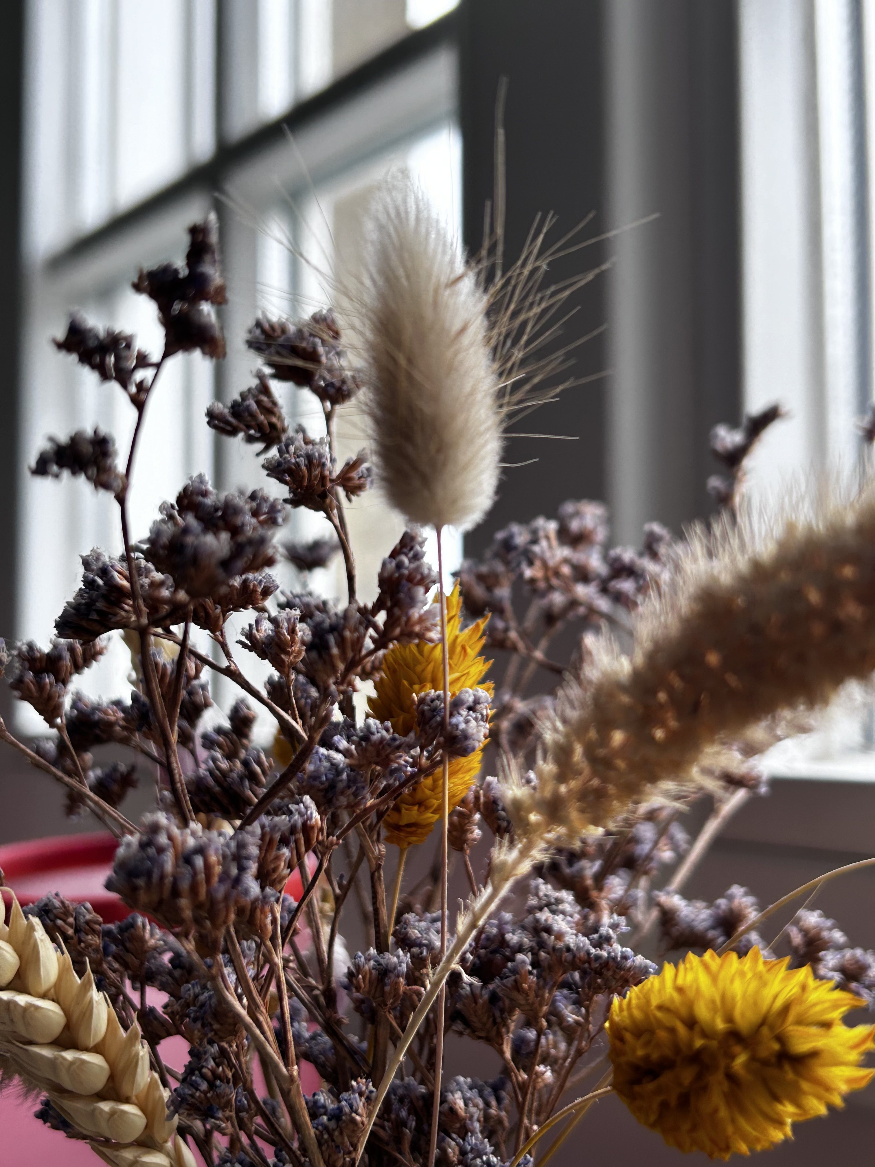 A Return to Center (and my Website) –